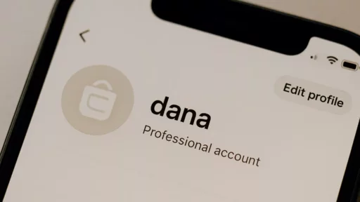 Username DANA Aesthetic