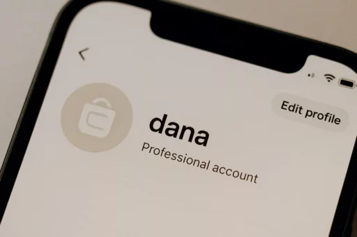 Username DANA Aesthetic