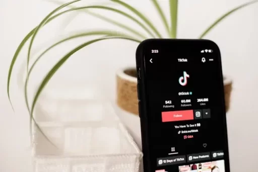 Ide Nama TikTok Bahasa Inggris