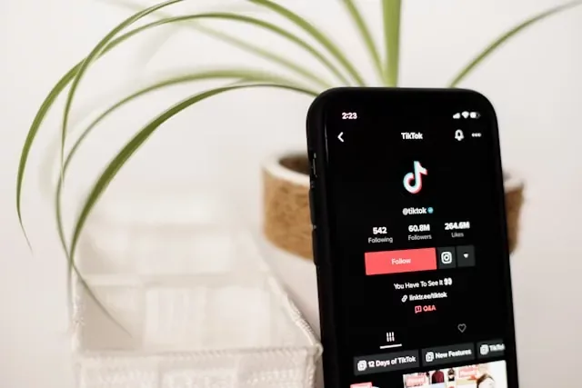 Ide Nama TikTok Bahasa Inggris